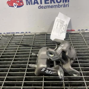 BALAMA USA SPATE