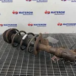 TELESCOP FATA DREAPTA NISSAN X-TRAIL II 2.0 dCi 2007-2018 oe-E4302JG71A, vedere laterala