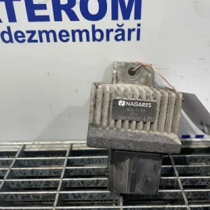 RELEU BUJII