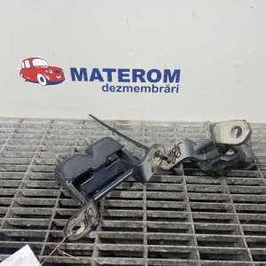 BALAMA USA SPATE
