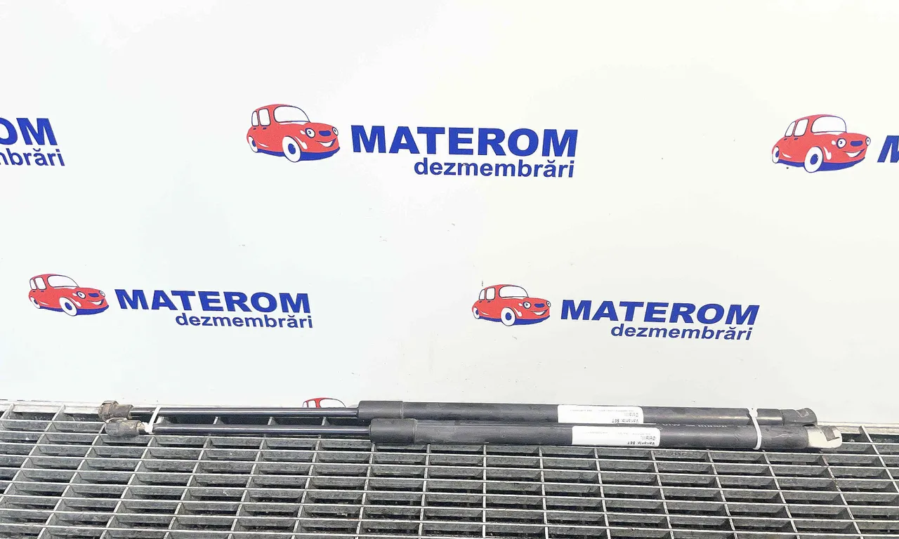 TELESCOP HAION OPEL ANTARA A 2006-2017