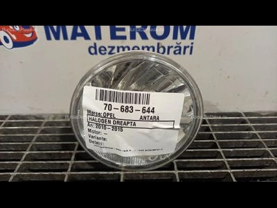 HALOGEN DREAPTA