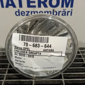 HALOGEN DREAPTA