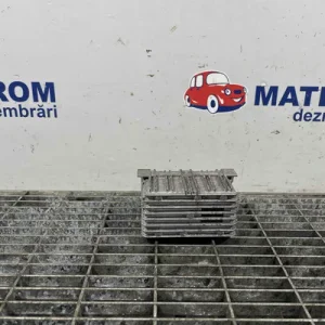RELEU BUJII