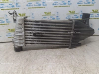 Radiator intercooler