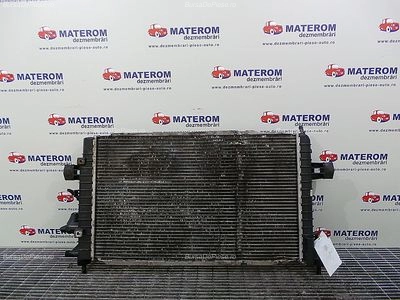 RADIATOR MOTOR