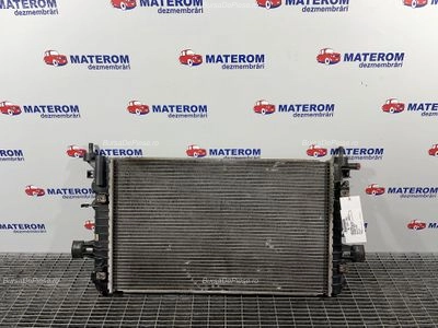 RADIATOR MOTOR
