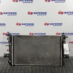 RADIATOR MOTOR