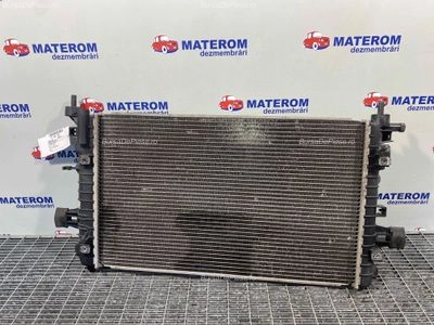 RADIATOR MOTOR