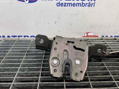 INCUIETOARE HAION