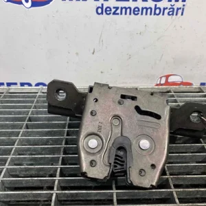 INCUIETOARE HAION