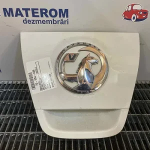 MANER HAION