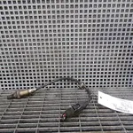SONDA LAMBDA OPEL ASTRA J A17DTR 2009-2016 oe-8946730010, vedere frontata