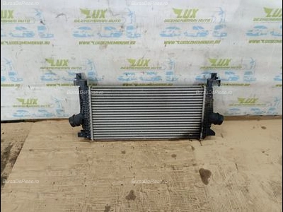 Radiator intercooler
