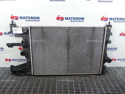 RADIATOR MOTOR