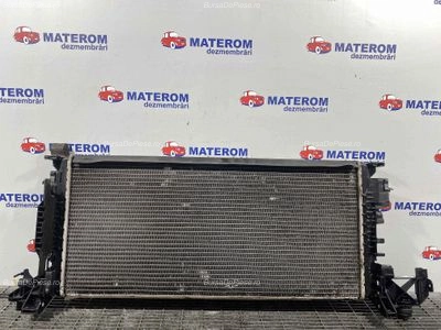 RADIATOR MOTOR