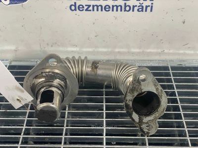 TEAVA EGR