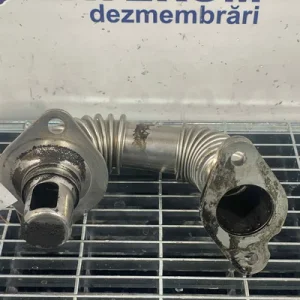 TEAVA EGR
