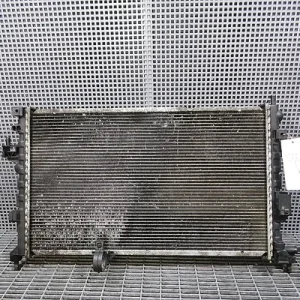 RADIATOR MOTOR