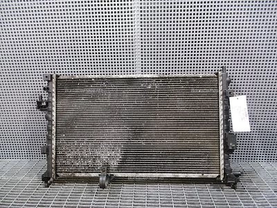 RADIATOR MOTOR