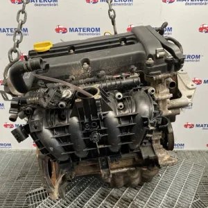 MOTOR