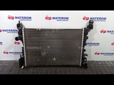 RADIATOR MOTOR