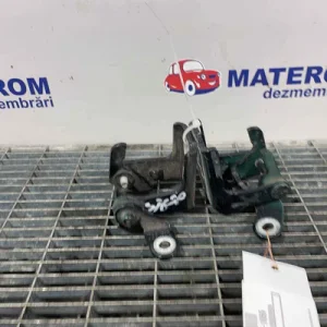 BALAMA USA SPATE