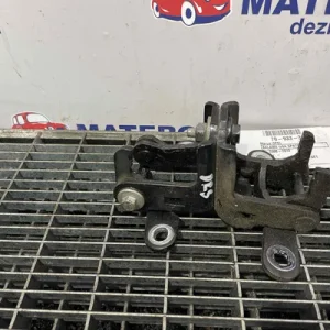 BALAMA USA SPATE