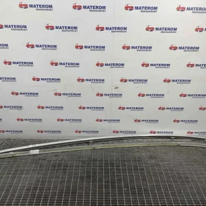 BARE PAVILION