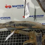TENDON SPATE OPEL INSIGNIA A 2.0 2008-2017, vedere frontata