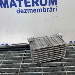RELEU BUJII
