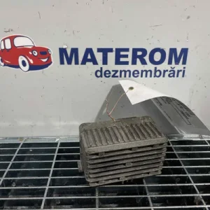 RELEU BUJII