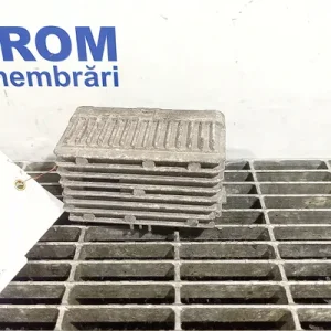 RELEU BUJII