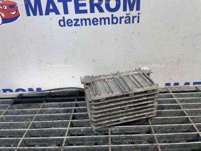 RELEU BUJII