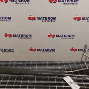 RACITOR ULEI