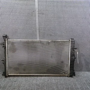 RADIATOR MOTOR