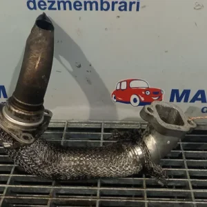TEAVA EGR