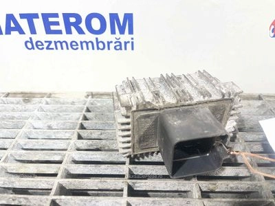 RELEU BUJII