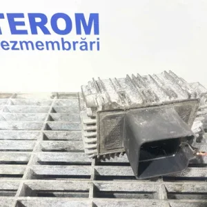 RELEU BUJII