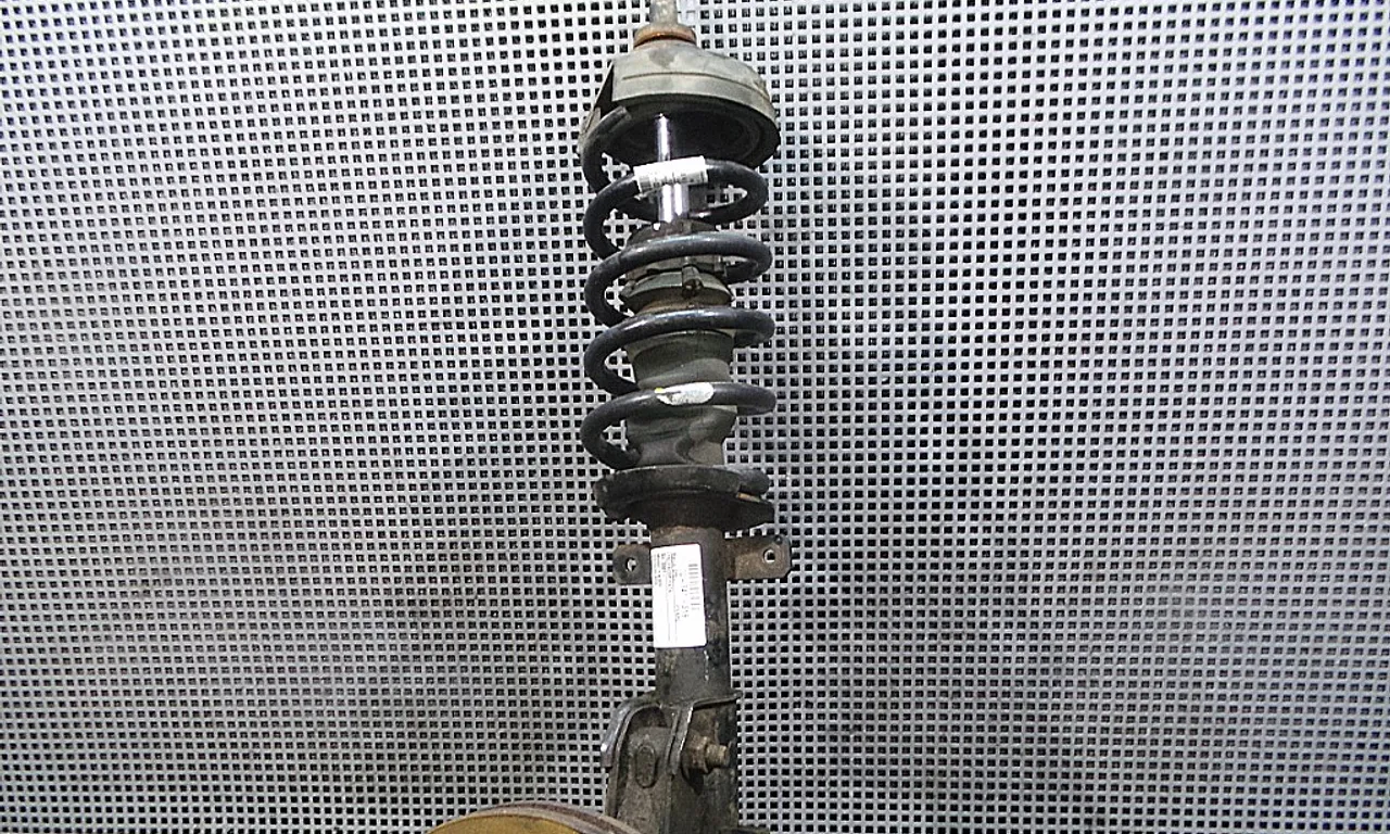 TELESCOP FATA STANGA OPEL VIVARO A 2001-2015