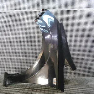 ARIPA FATA STANGA