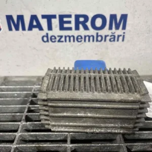 RELEU BUJII