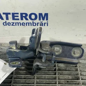 BALAMA USA SPATE