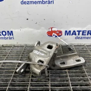BALAMA USA SPATE