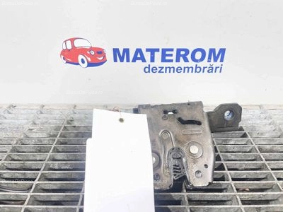 INCUIETOARE HAION