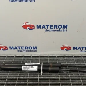 TELESCOP HAION
