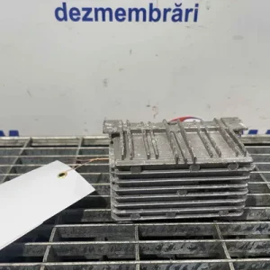 RELEU BUJII
