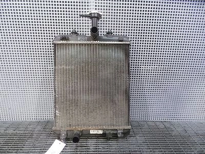 RADIATOR MOTOR