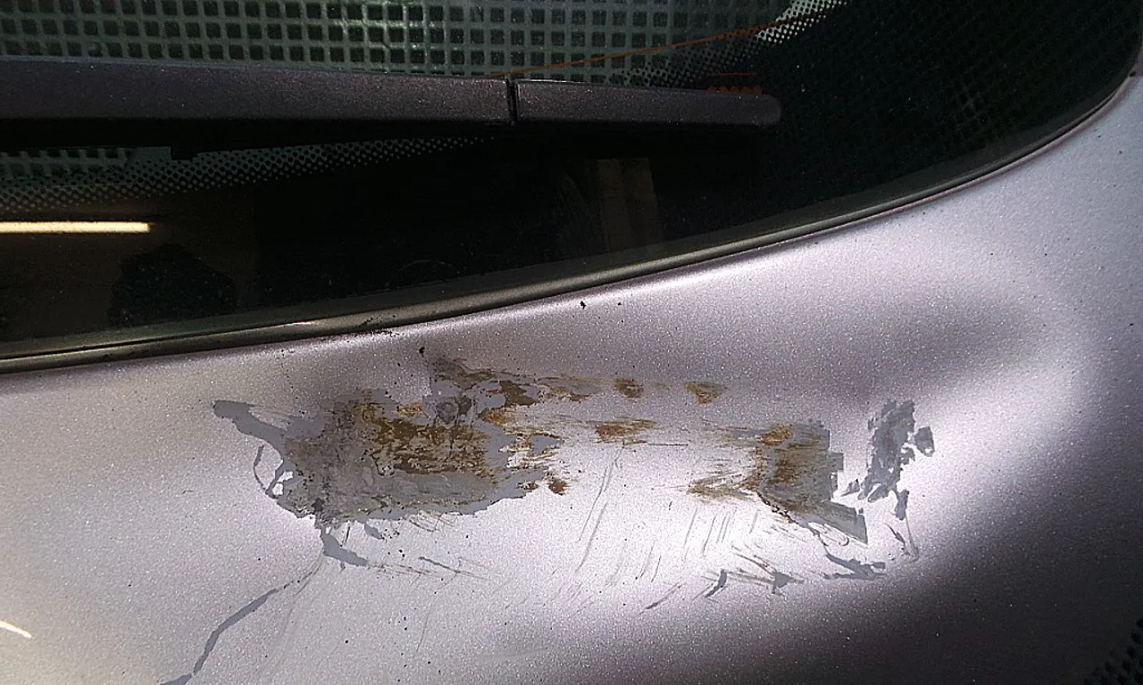 HAION PEUGEOT 207 2006-2009