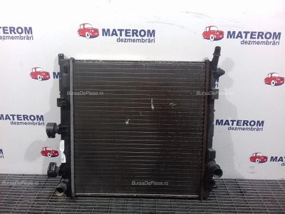 RADIATOR MOTOR